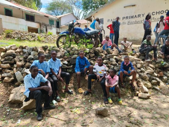 Newsletter de sfârșit de an – 2025